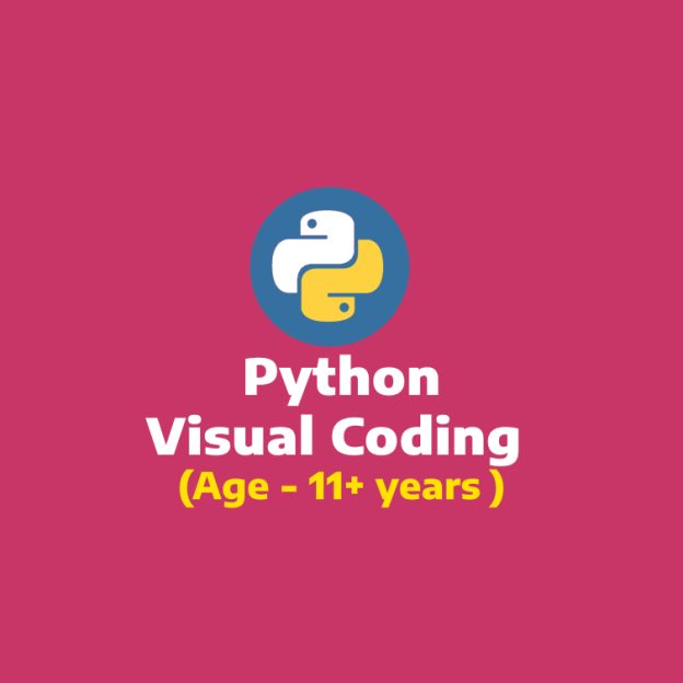 Visual Coding